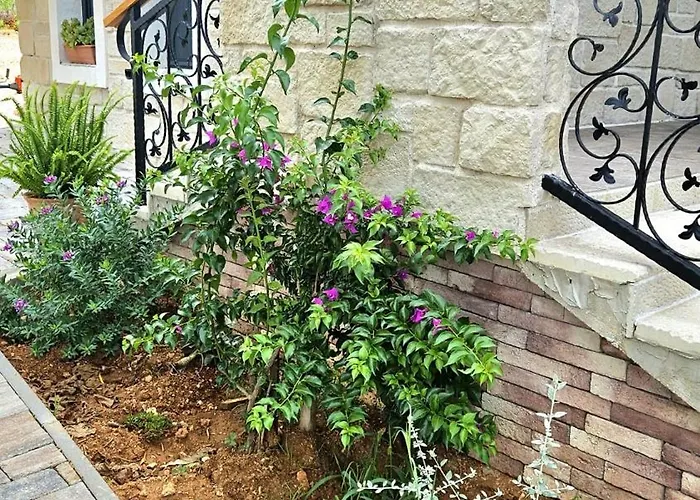 Villa Magic View Sveti Filip i Jakov